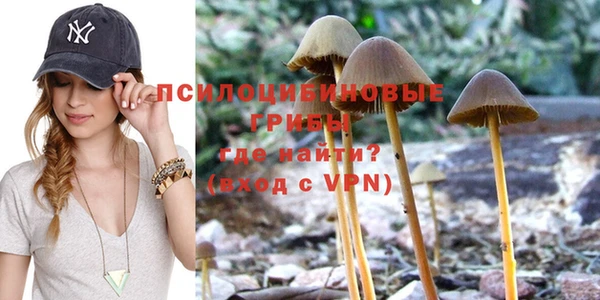 ешки Абдулино