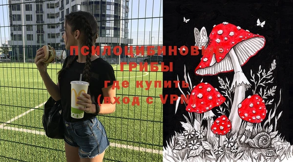 прущие грибы Абинск