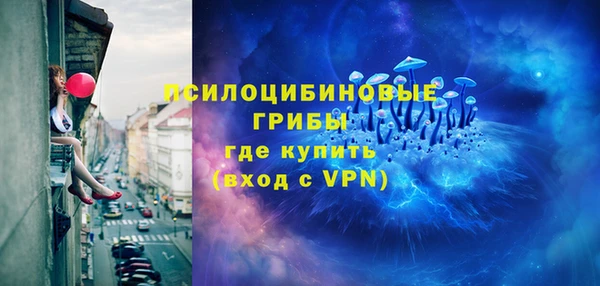 круглые Алзамай