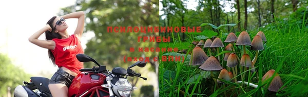 apvp Абаза