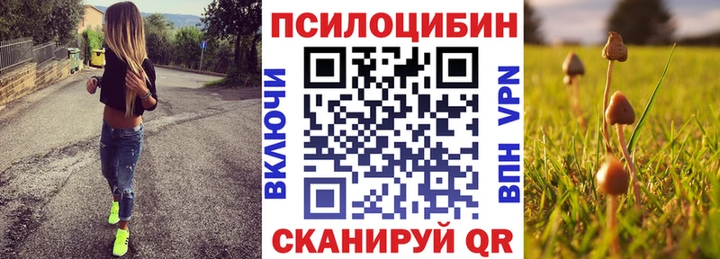 Галлюциногенные грибы мухоморы  цена   Шали 